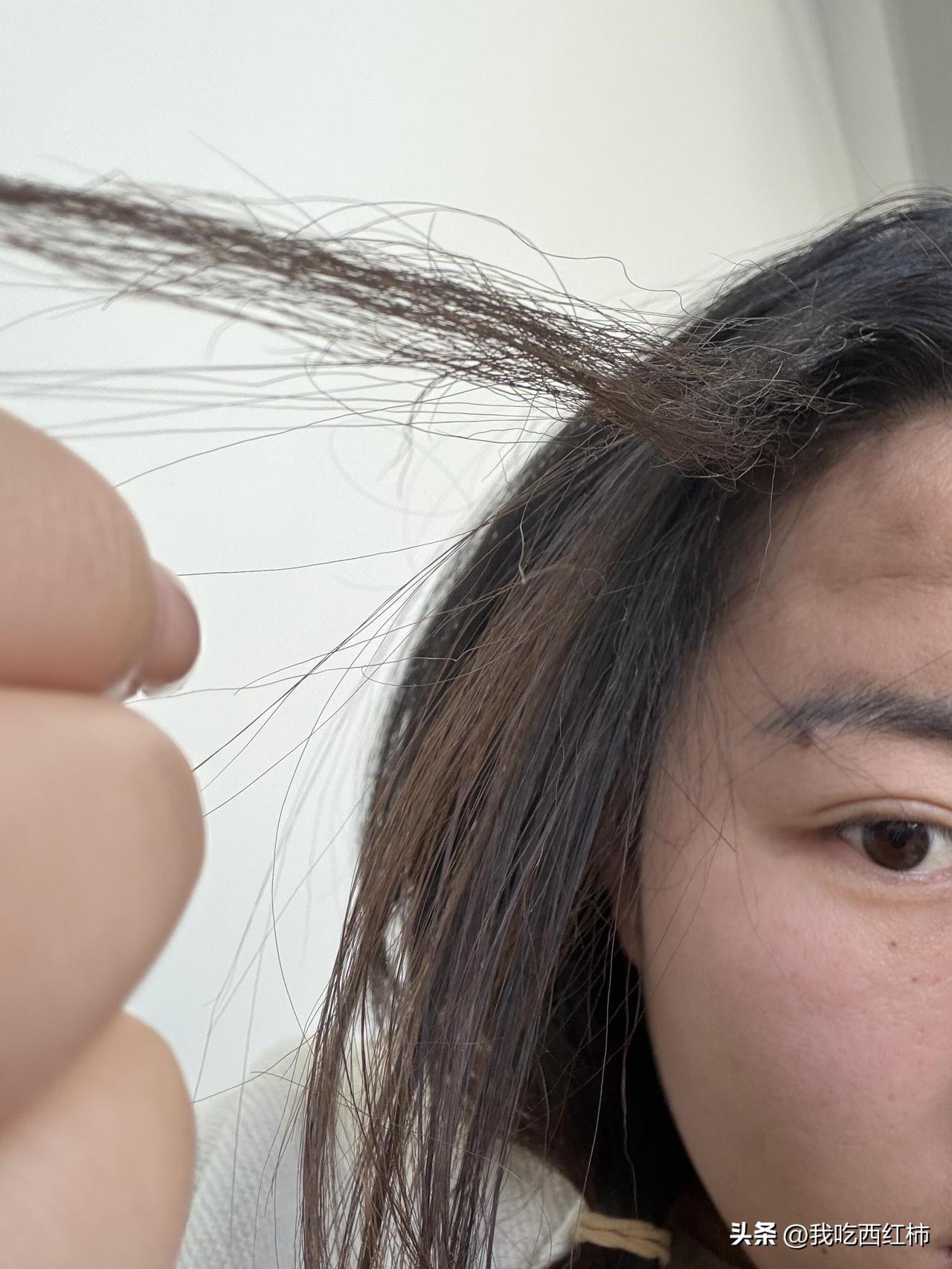 你奶的 拉直不是最简单的技术吗
天生自然卷 从初中开始拉直一直到现在，以前在小县