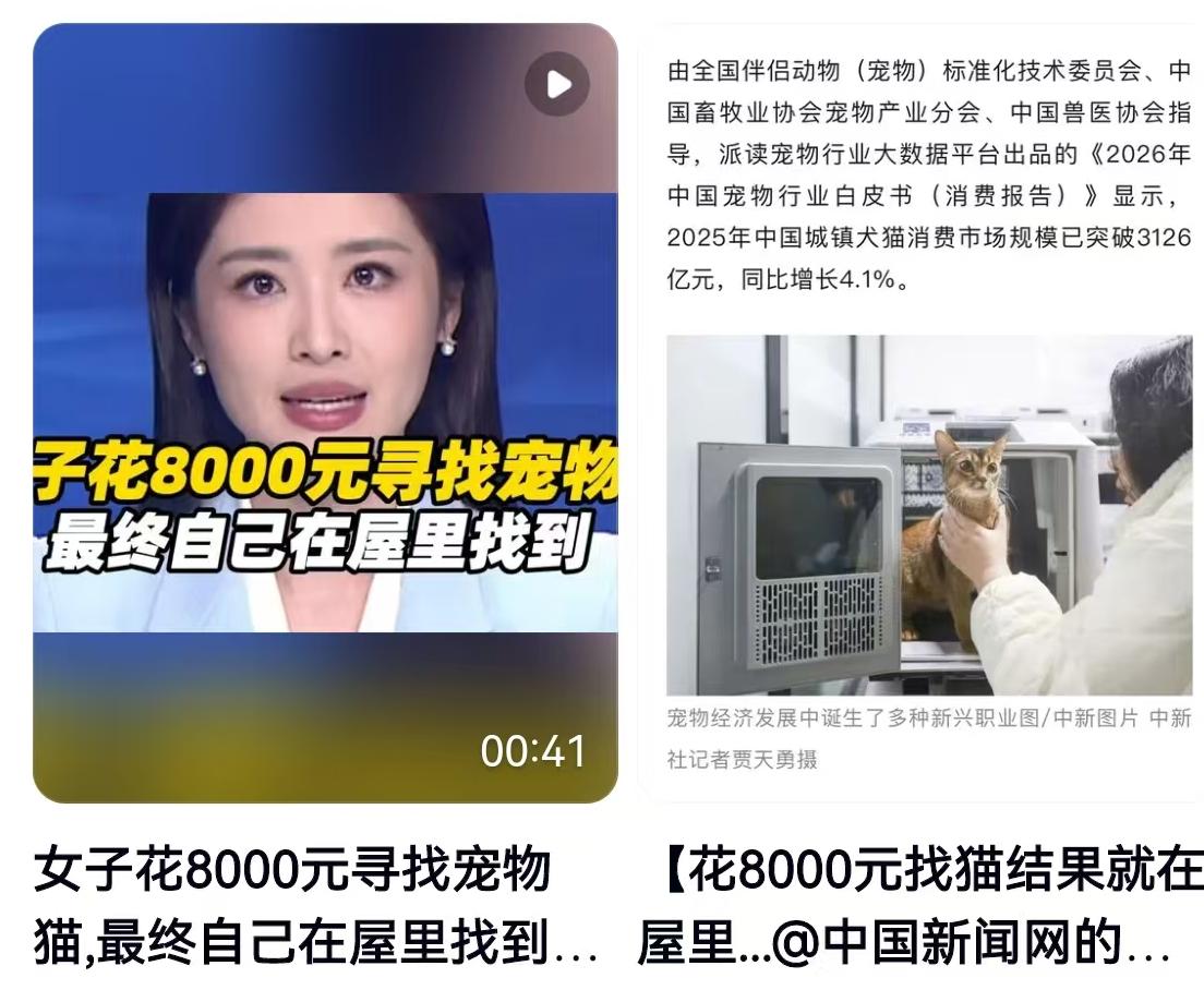 花8800元找猫，结果猫咪就在自家屋里蹲着，这笔钱你还会付吗？这可不是段子，而是