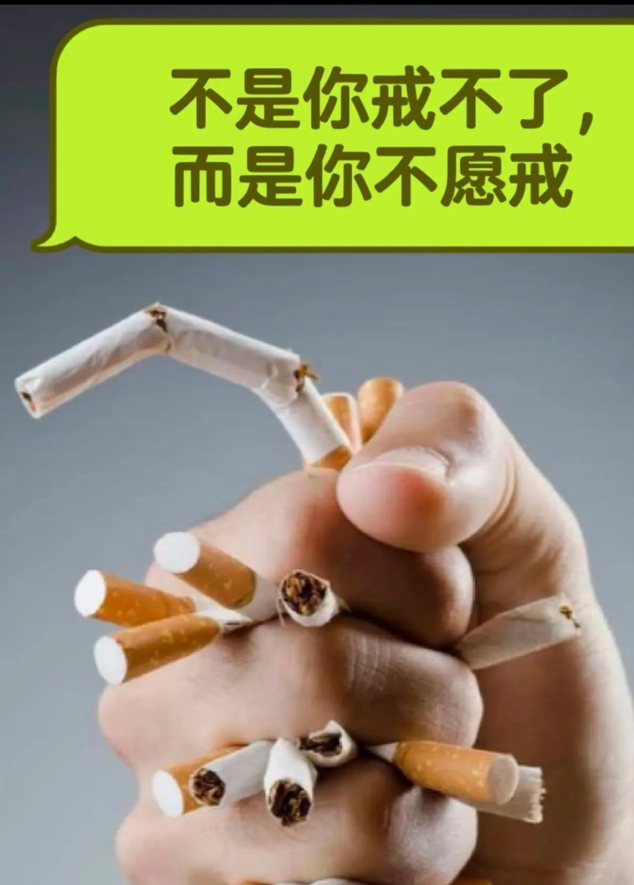 🚭 别再让烟草绑架你的钱包和健康！

💰 算笔账：

- 最便宜的烟，一月也