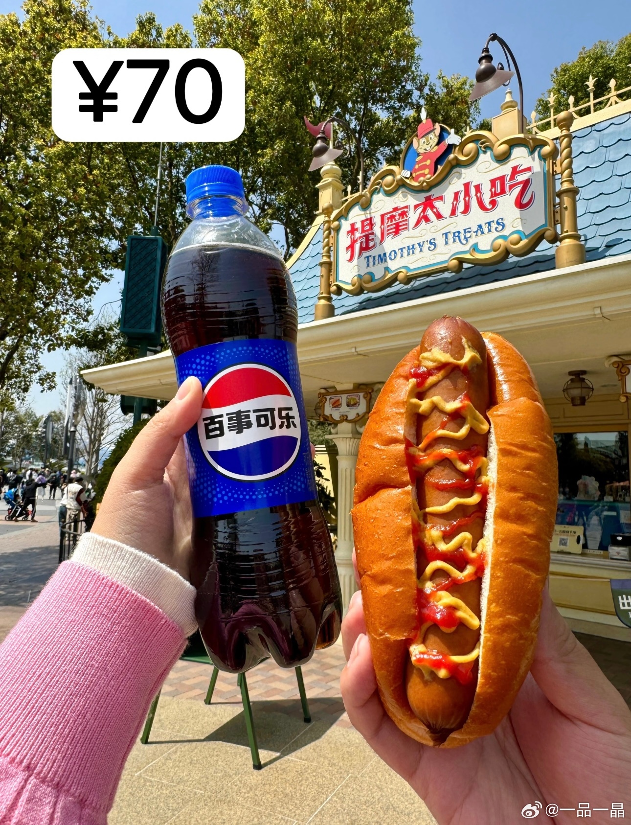 用人民币感受下迪士尼的物价网友说迪士尼果然有自己的货币上海迪士尼70元1个包子网