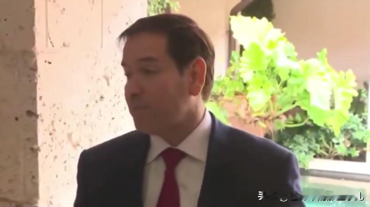 卢比奥称美乌结束战争的会谈富有成效，但俄罗斯必须参与其中！
12月1，上午看点，