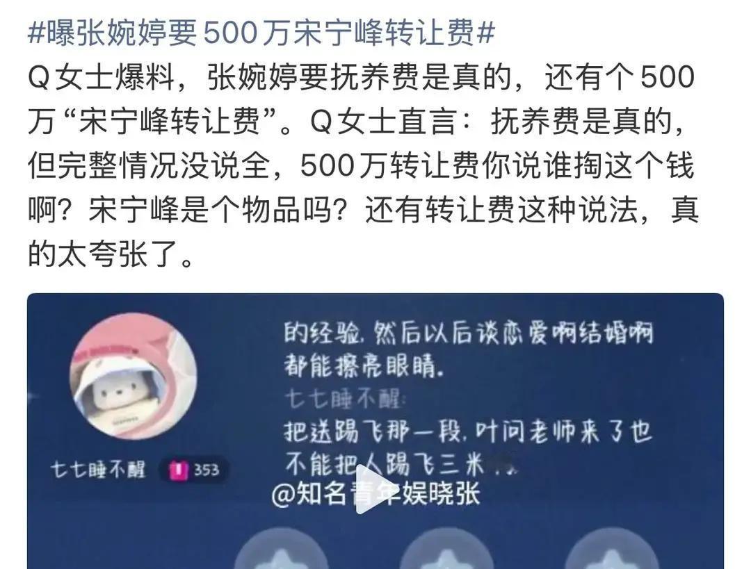 张婉婷开口500万，宋宁峰被标价，第三方沉默
4月19日，张婉婷向那位“想带宋宁