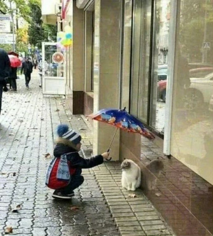 雨天里的一位小绅士。