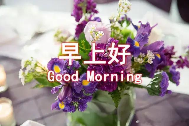 各位有缘的朋友，早上好，打卡点赞，好运常相伴！ 