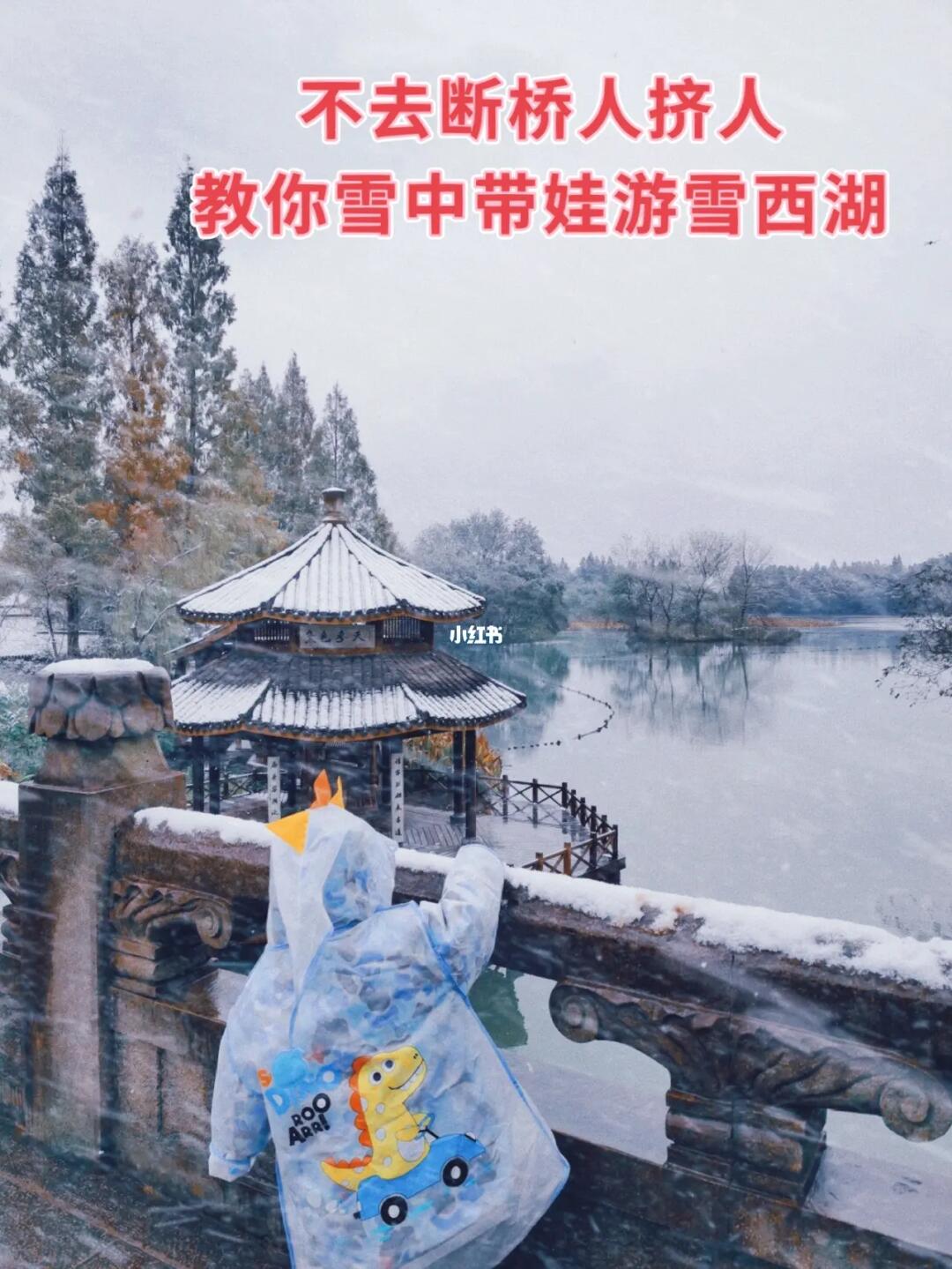 不去断桥人挤人，花8元带娃雪中游西湖