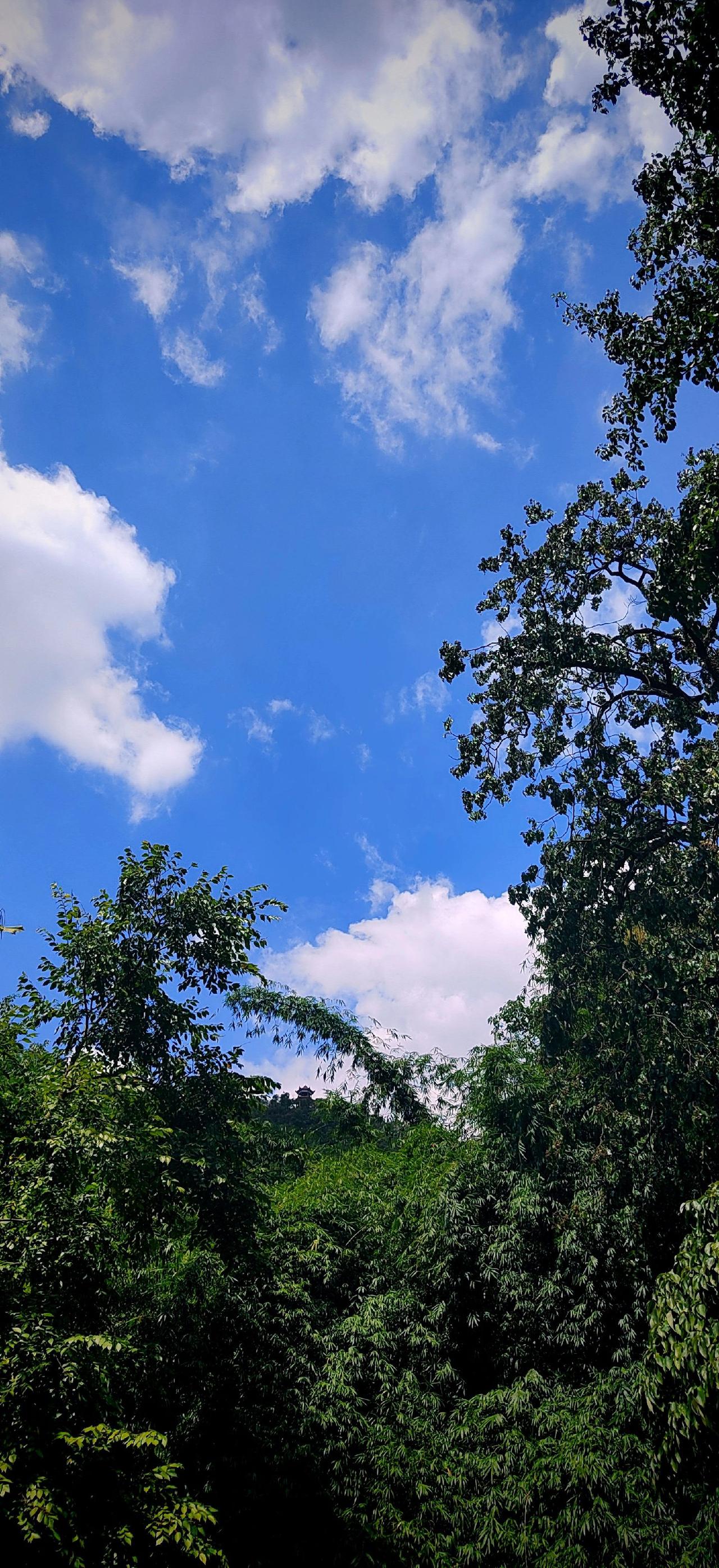 大山深处生态美，探秘再探秘！#治愈系风景