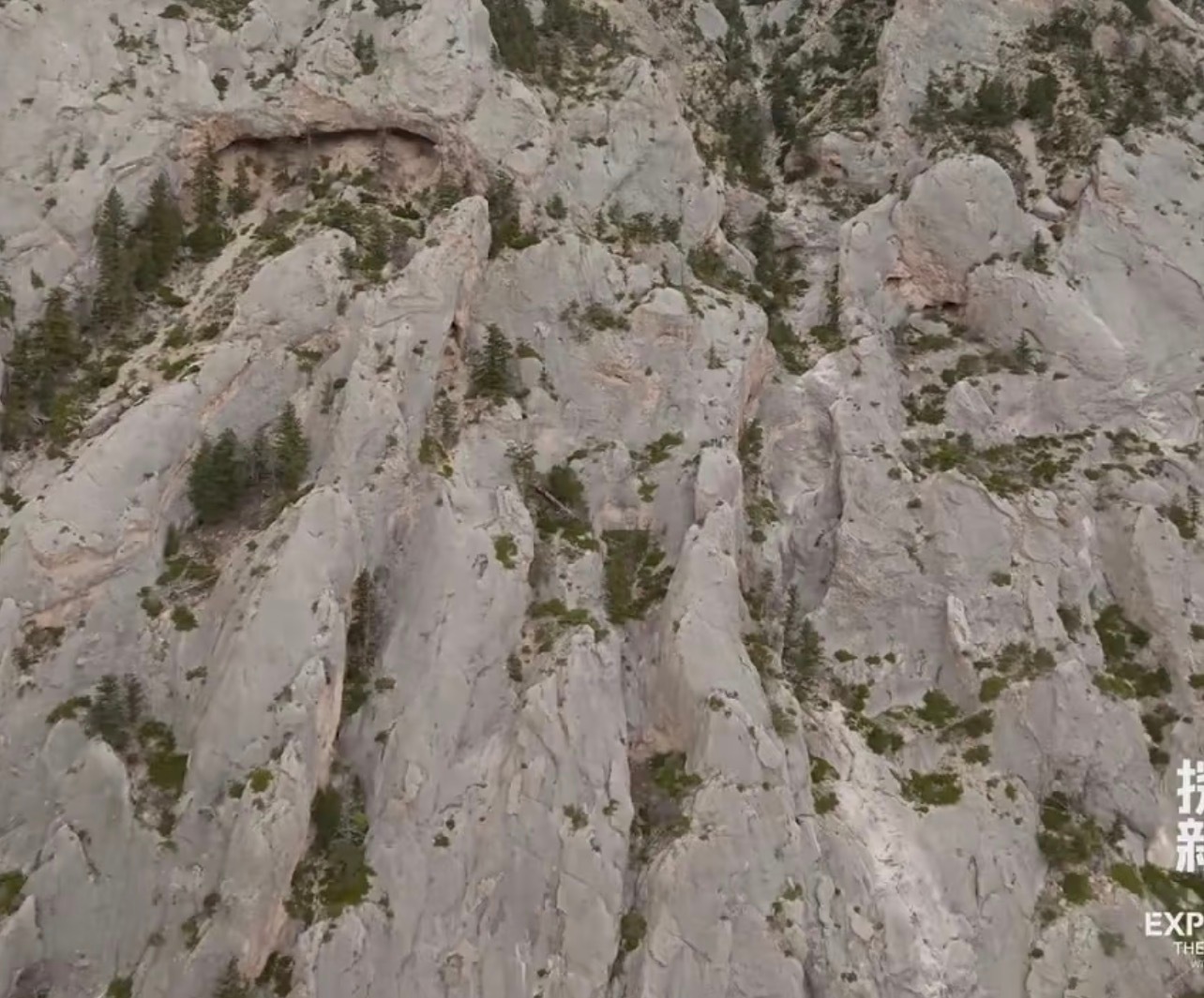 来找王一博呀🔍 