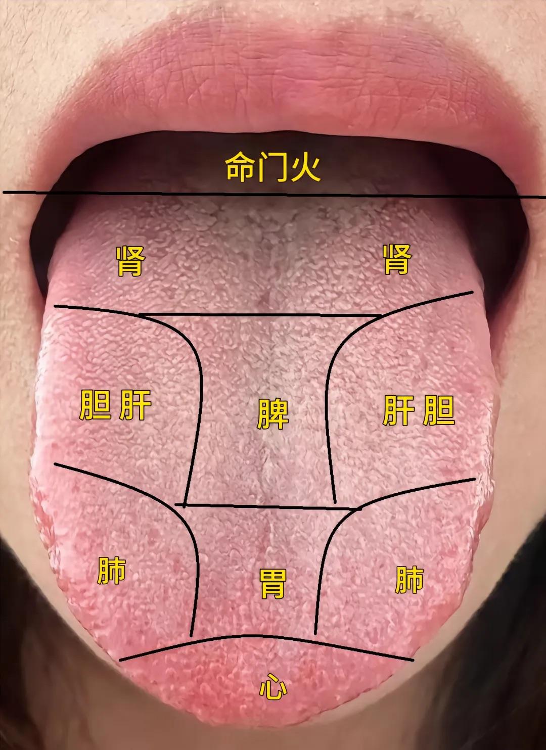 舌头是五脏六腑的“照妖镜”。中医详细舌象辩证，教你看舌苔，看看你问题出在哪？
舌