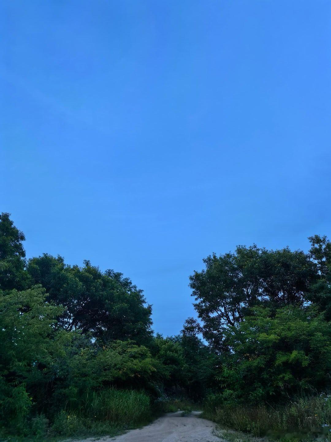 最近的火烧云很多啊 