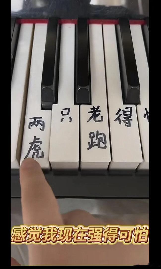 强的可怕，这一届网友无敌了，钢琴是不是很难学，但是你把歌词写在钢琴键上，你只需要