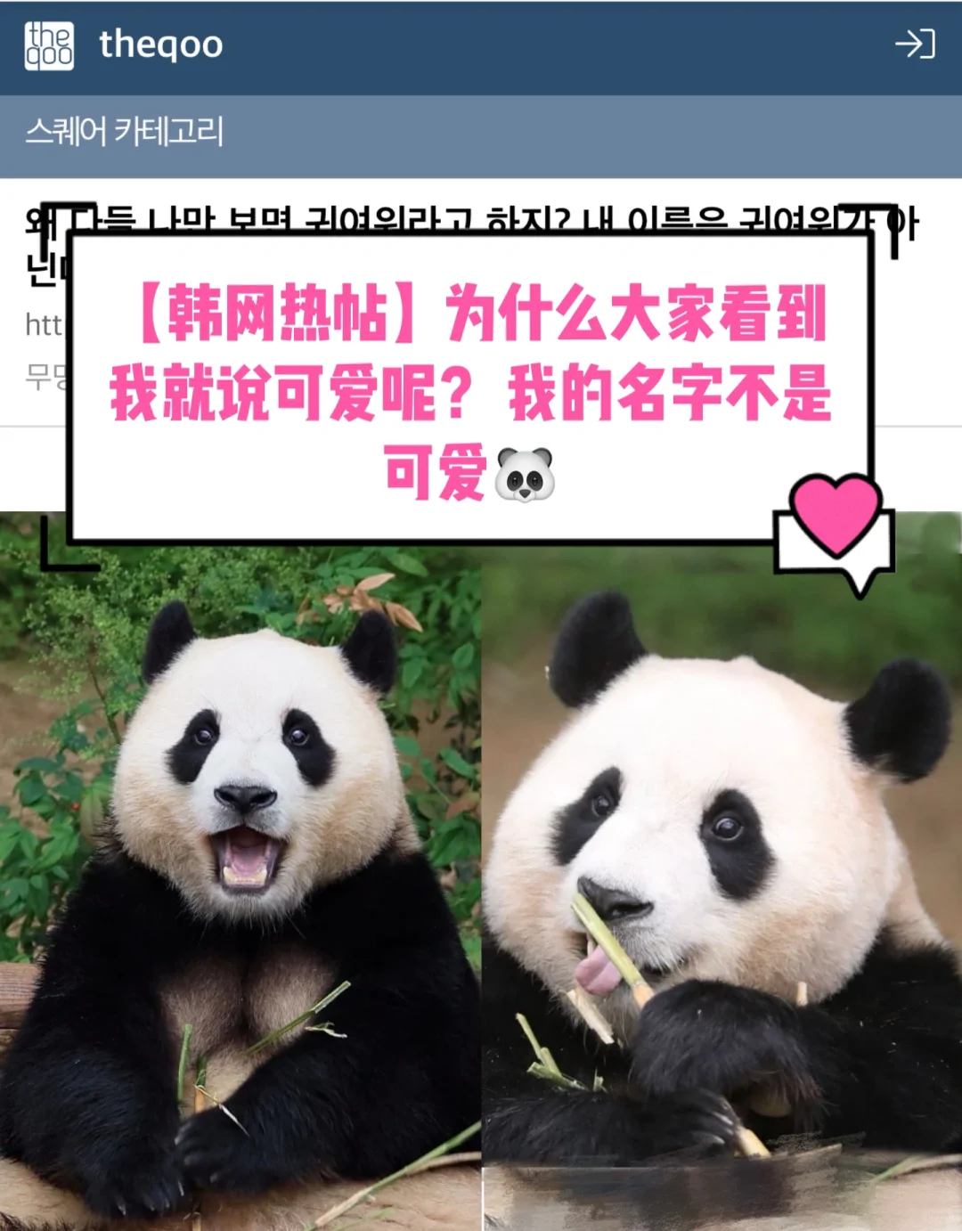 🔥 韩网热帖｜为什么大家看到我就说可爱呢？