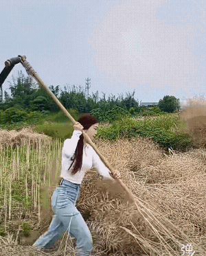 全国这个工具叫连盖的举个手![捂脸]