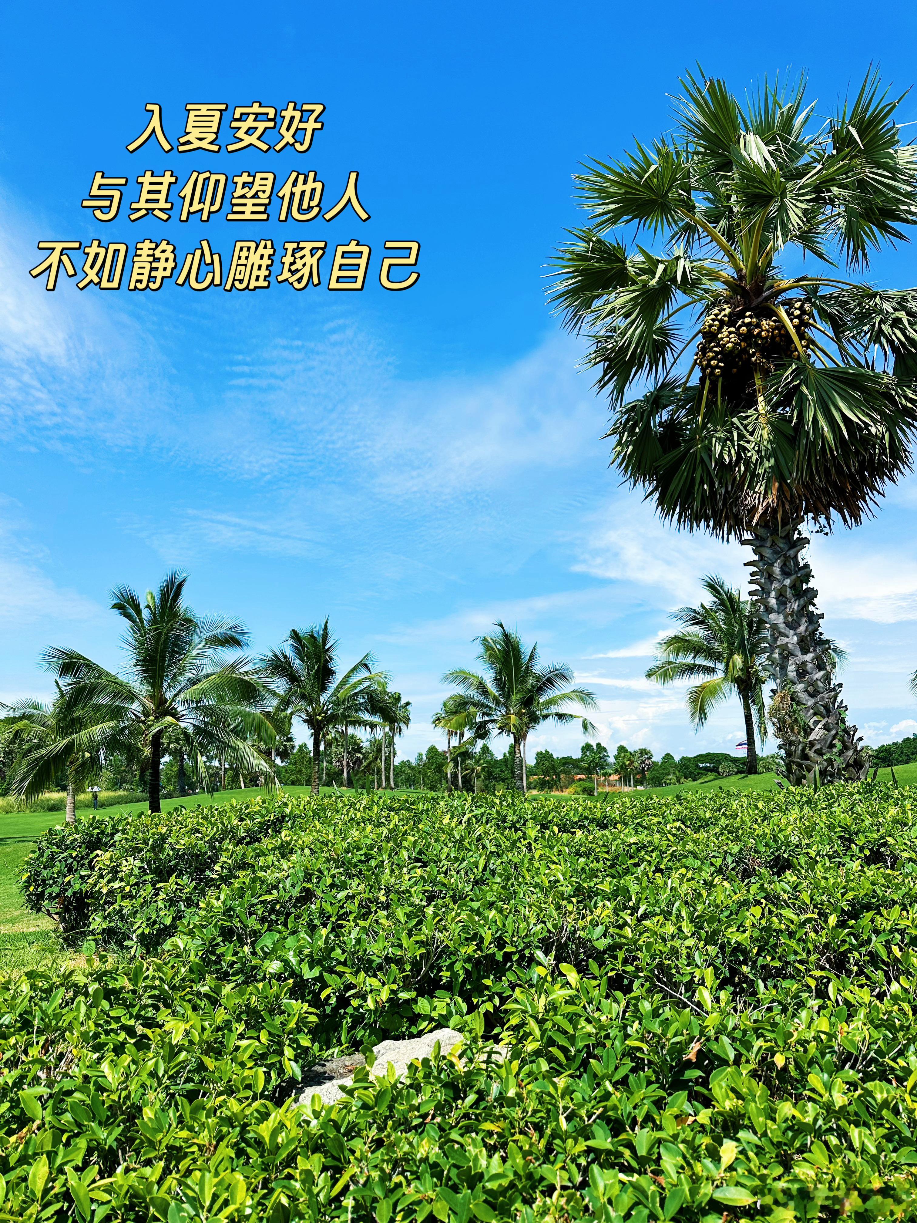 入夏安好！与其仰望他人，不如静心雕琢自己。 泰国·春武里府