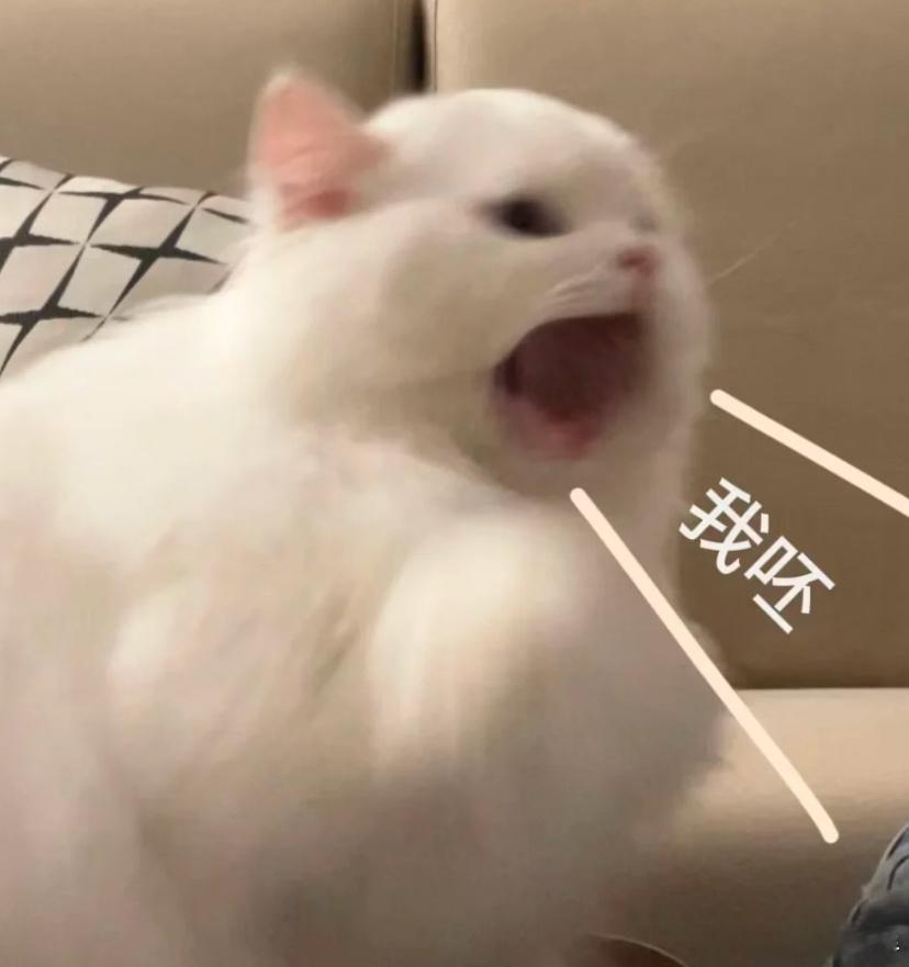 小澈直播被封不是说要发纸质证明吗？怎么到现在还没有？一直在忽悠我们 