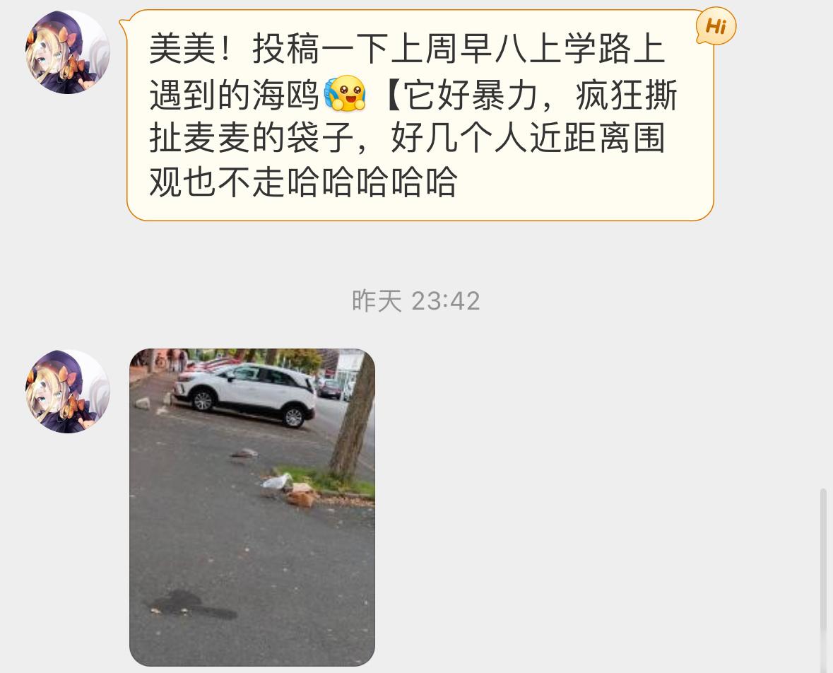 鸥鸥只是想整点薯条🍟罢了！ ​​​