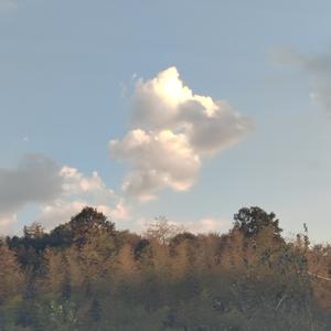 田野间守望丰收老农
