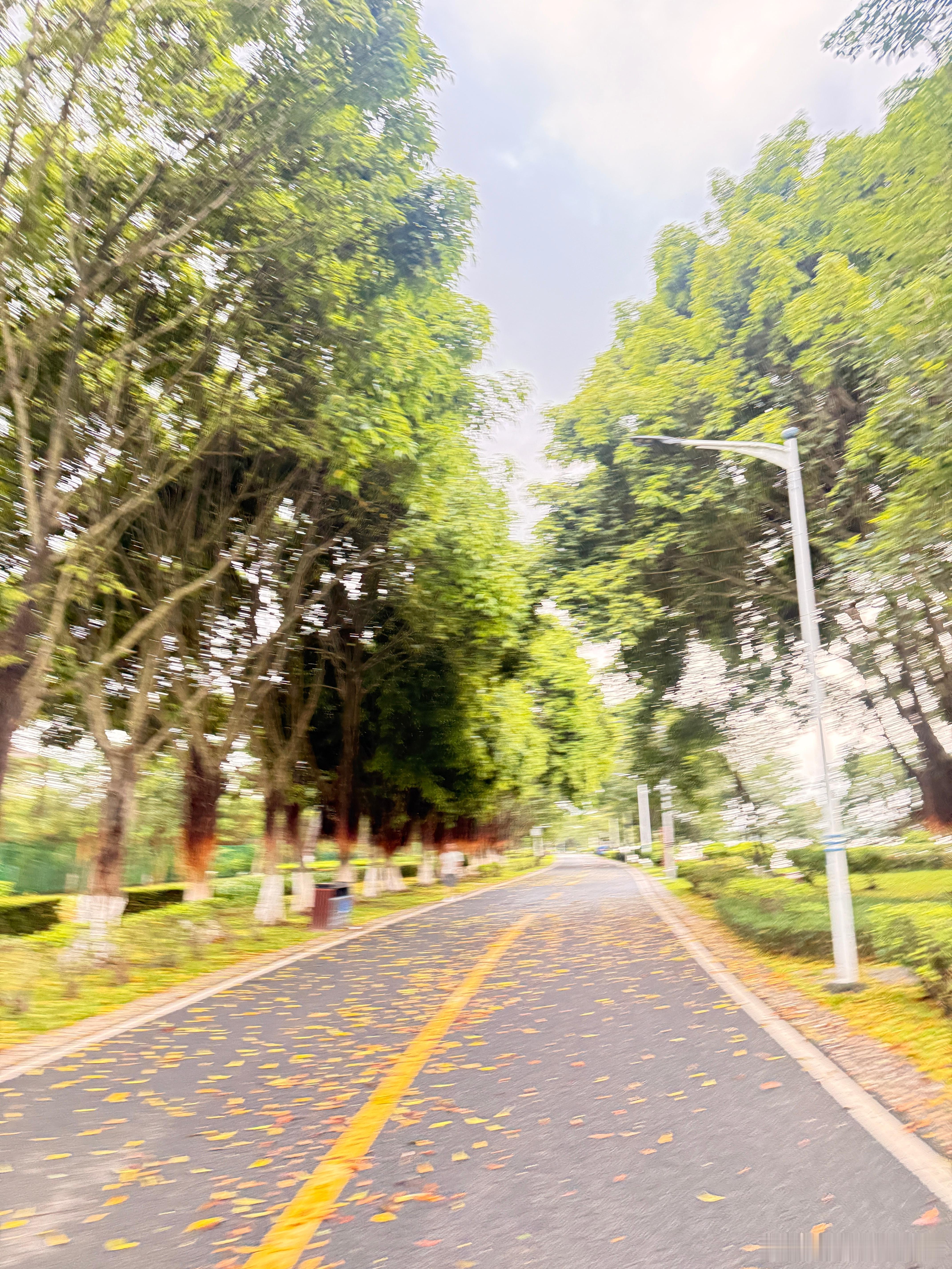 人就应该多出门走走跑步跑步 跑个日期6.20km｜配速6'11｜心率134晚上还