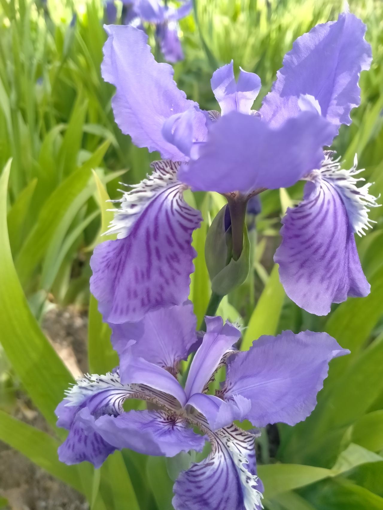 新鲜出炉的照片