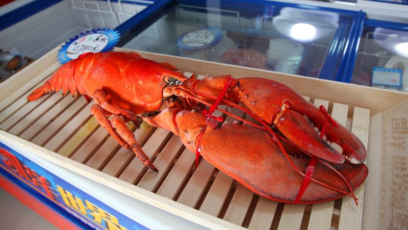 龙虾🦞大战，
有小龙虾🦞，
大龙虾🦞，
澳洲龙虾🦞，
Aptly龙虾🦞