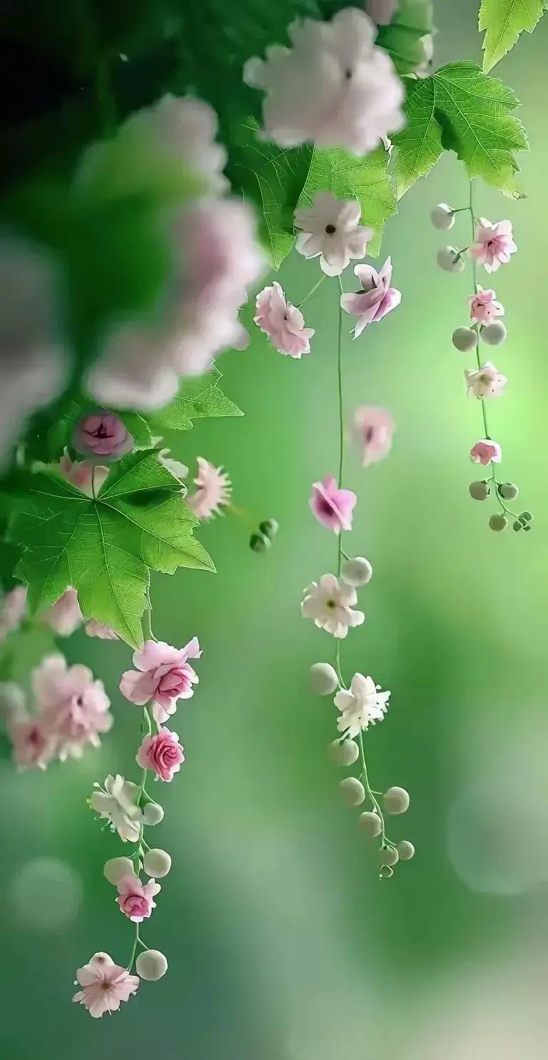 上联：芬芳馥郁穿花过；
------平平仄仄平平仄
下联：？？（小林邀友赐对）