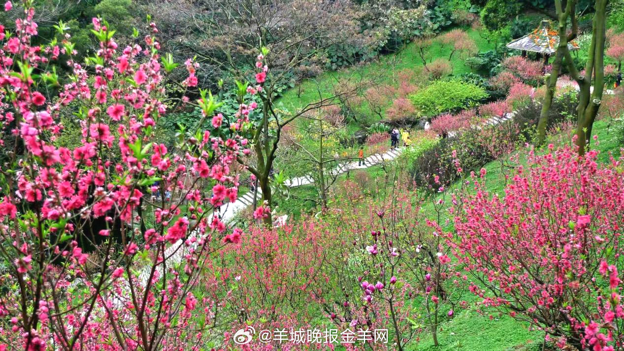 #早安#快乐就藏在琐碎的日常里，幸福就在你的身边。每个微小发现都是可被记录的美好