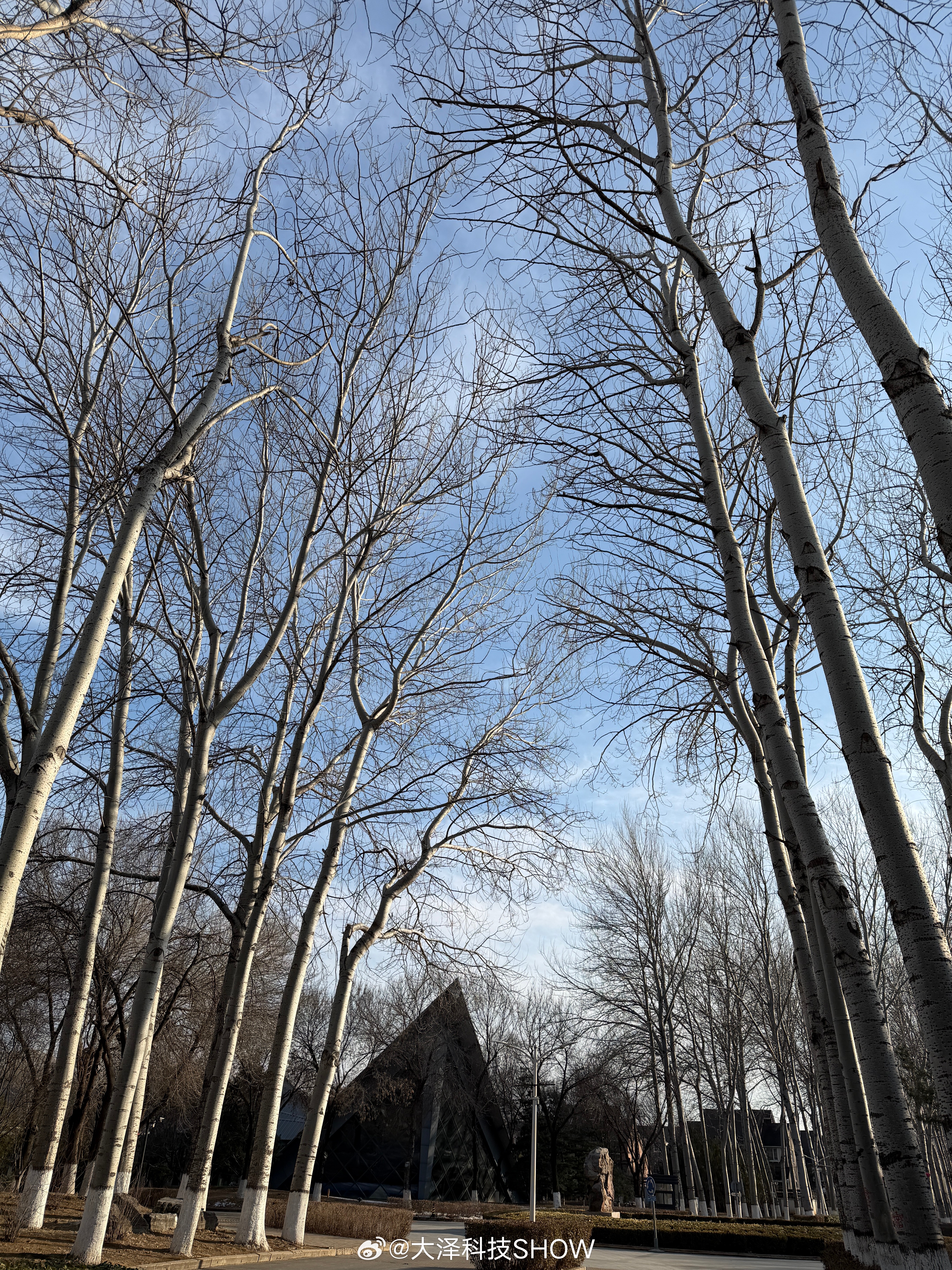 多地官宣春假清明连休6天我想说句扎心的：孩子连休 6 天，家长原地崩溃！政策初衷