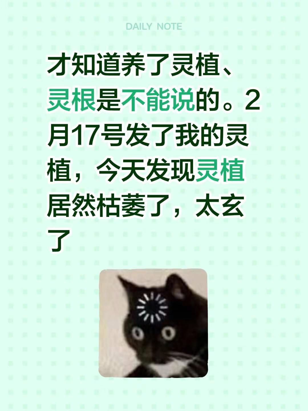 才知道养了灵植、灵根是不能说的。2月17号发了我的灵植，今天发现灵植居然枯萎了，