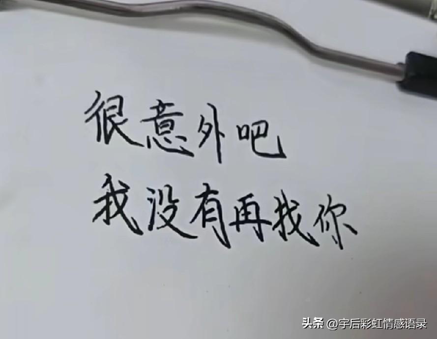 很意外吧
我没有再找你
也没有再闹了
我是不是做得很好
再也没有做过你不喜欢的事