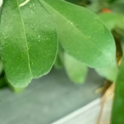 每日一善 洒下一粒善的种子，每日浇灌，收获阳光的微笑和内心的富足。 