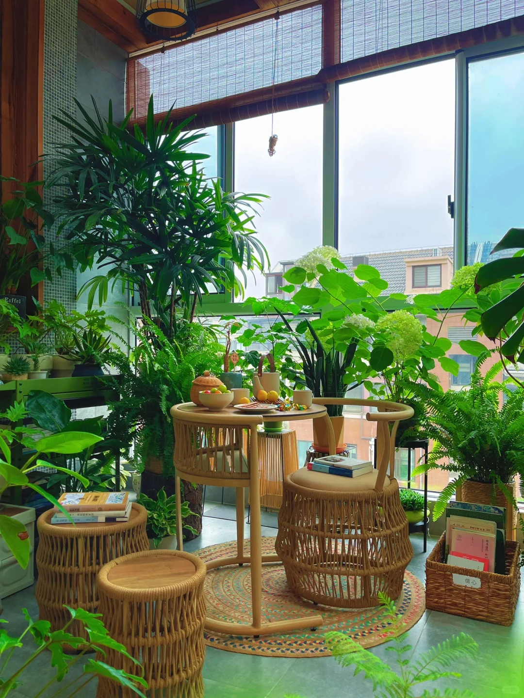 9m²小森林｜平价绿植打造出的高颜值阳台茶吧