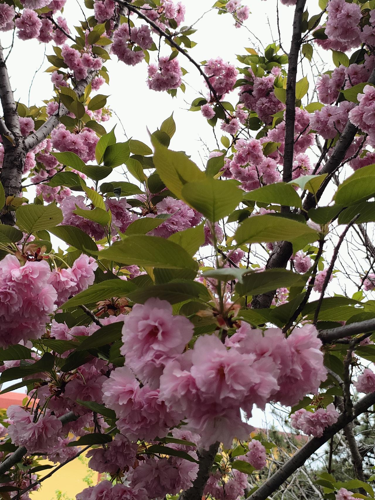 悟透人间百态，修得内心从容，半生烟火皆温柔
 
人这一辈子，走着走着就到了半生，