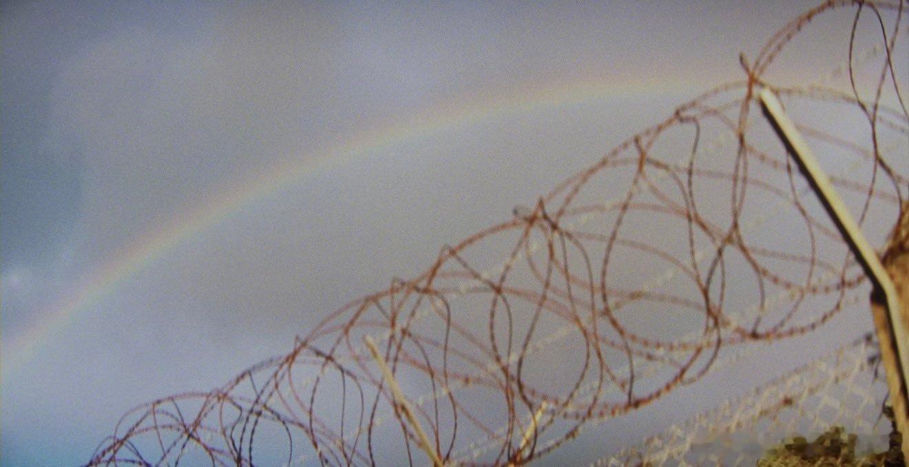 格雷格·弗雷瑟在《挽救计划》中在昂贵的ARRI ALEXA 65摄影机上加装了一