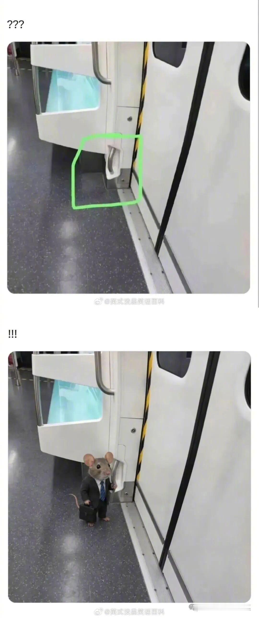 这个把手是做什么用的？ 