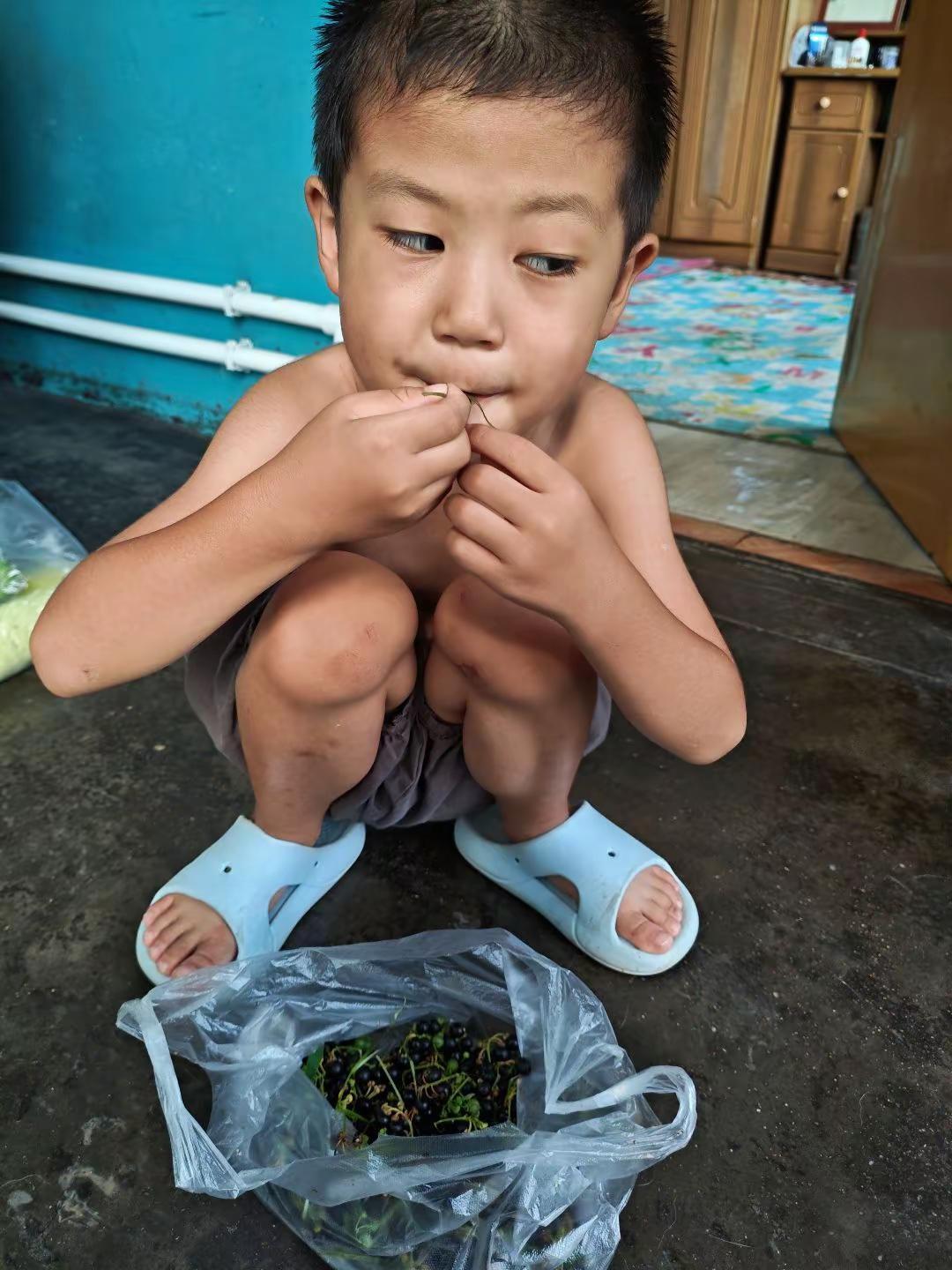 每年这时候都能吃到黑天天农村娃的童年宝藏