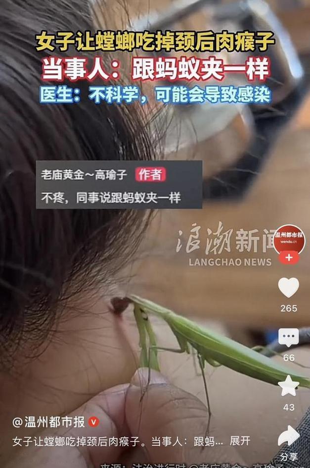 网上刷到女子找螳螂