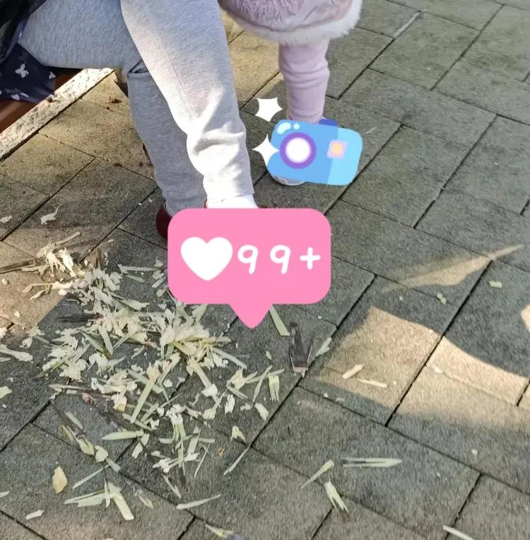 这是在公园里拍到的一幕。
说起来真是让人无语，在公园里吃甘蔗居然能吐一地的皮！