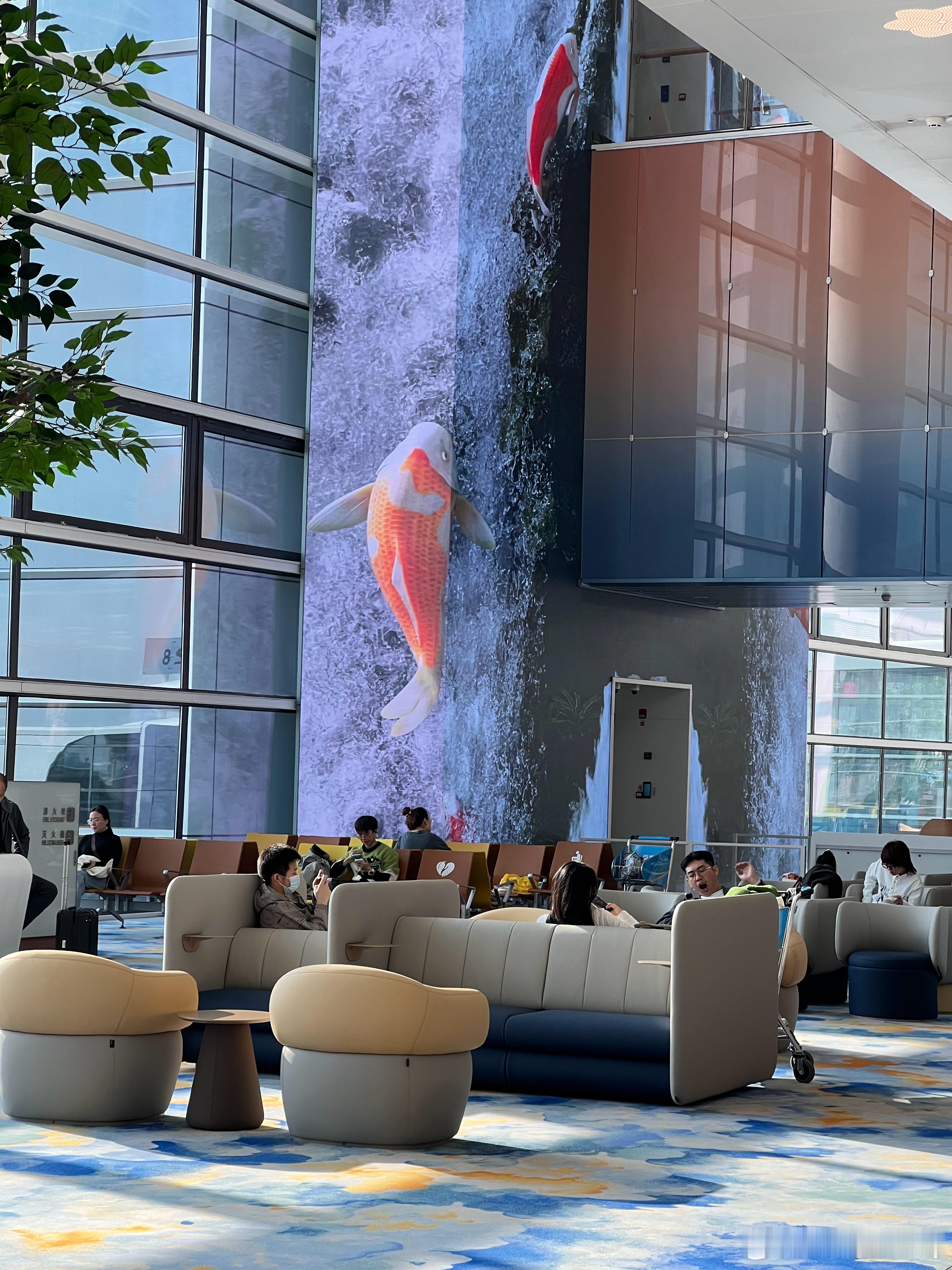 第一次来白云机场T3新航站楼，感觉好高端，但是要走好远 广州·广州白云国际机场-