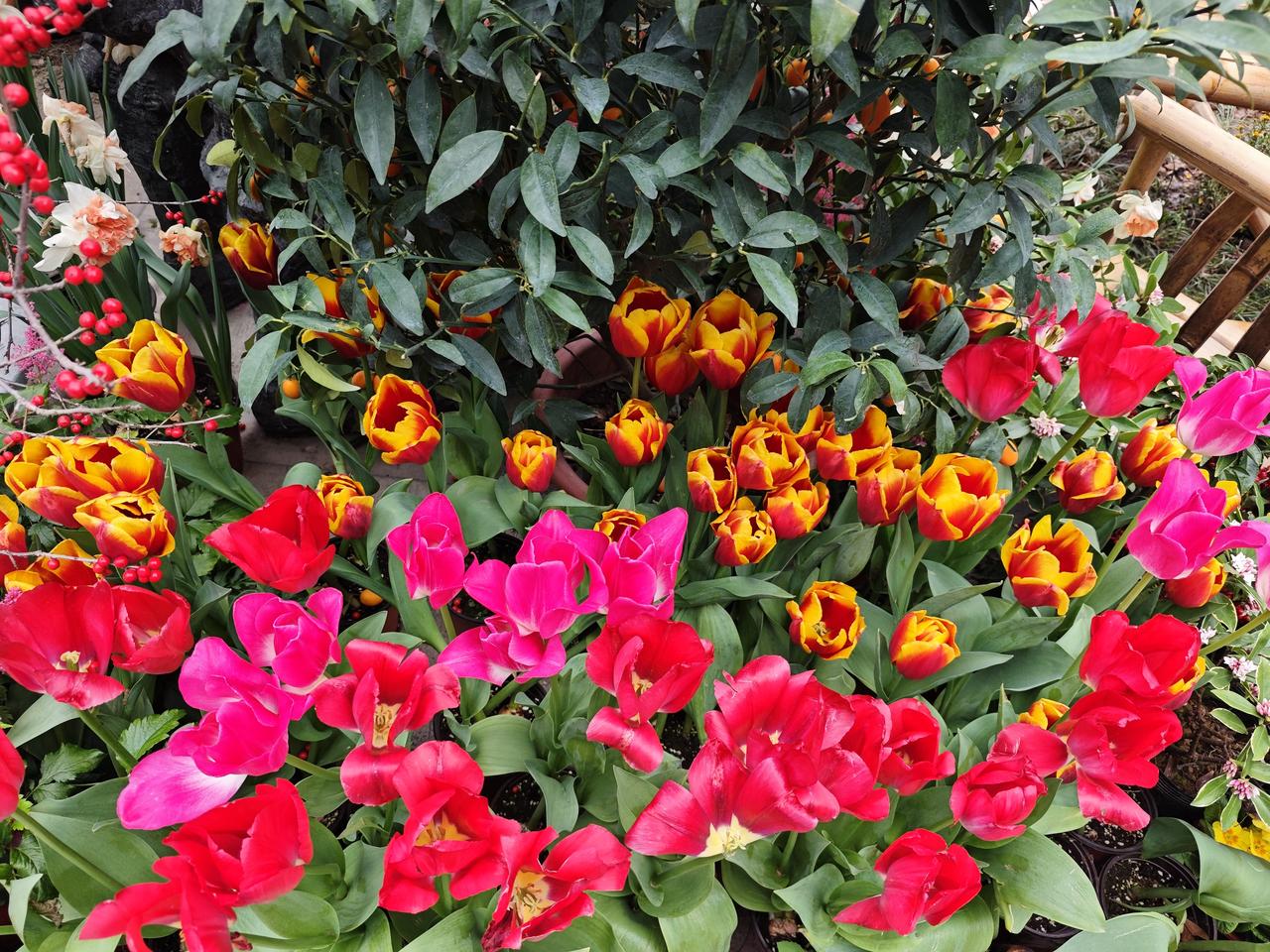 伊朗将近一亿人，以色列的面积也就几个镇那么大。伊朗不要胆怯要勇敢一点，不然就难堪