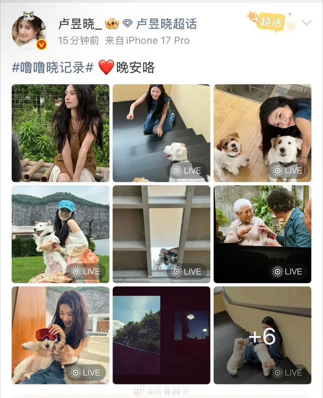 给阿嬷的情书 屏摄啊？最近卢昱晓是得罪什么大佬了，黑稿这么频繁，看个电影拍两张图