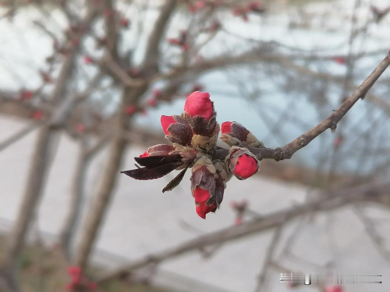 又是元气满满的一天！又是开开心心的一天！又是心情舒畅的一下！
祝友友们一天好心情