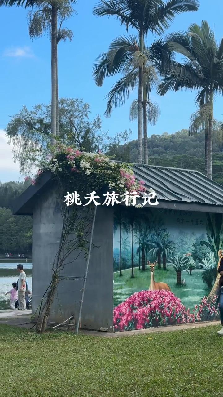 桃天旅行记。