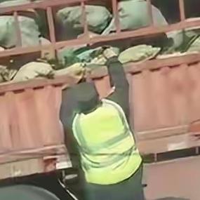 你能想象吗？本应守护货车安全的保安，居然干起了偷拿货车生姜的勾当！近日，一段监控