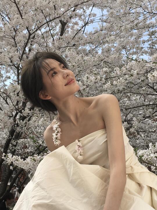 小小樱花🌸