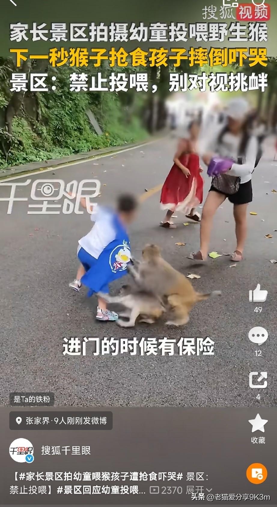 景区拍娃喂猴，3秒后全家吓傻！

张家界，风景如画。

一位家长举着手机，对着自