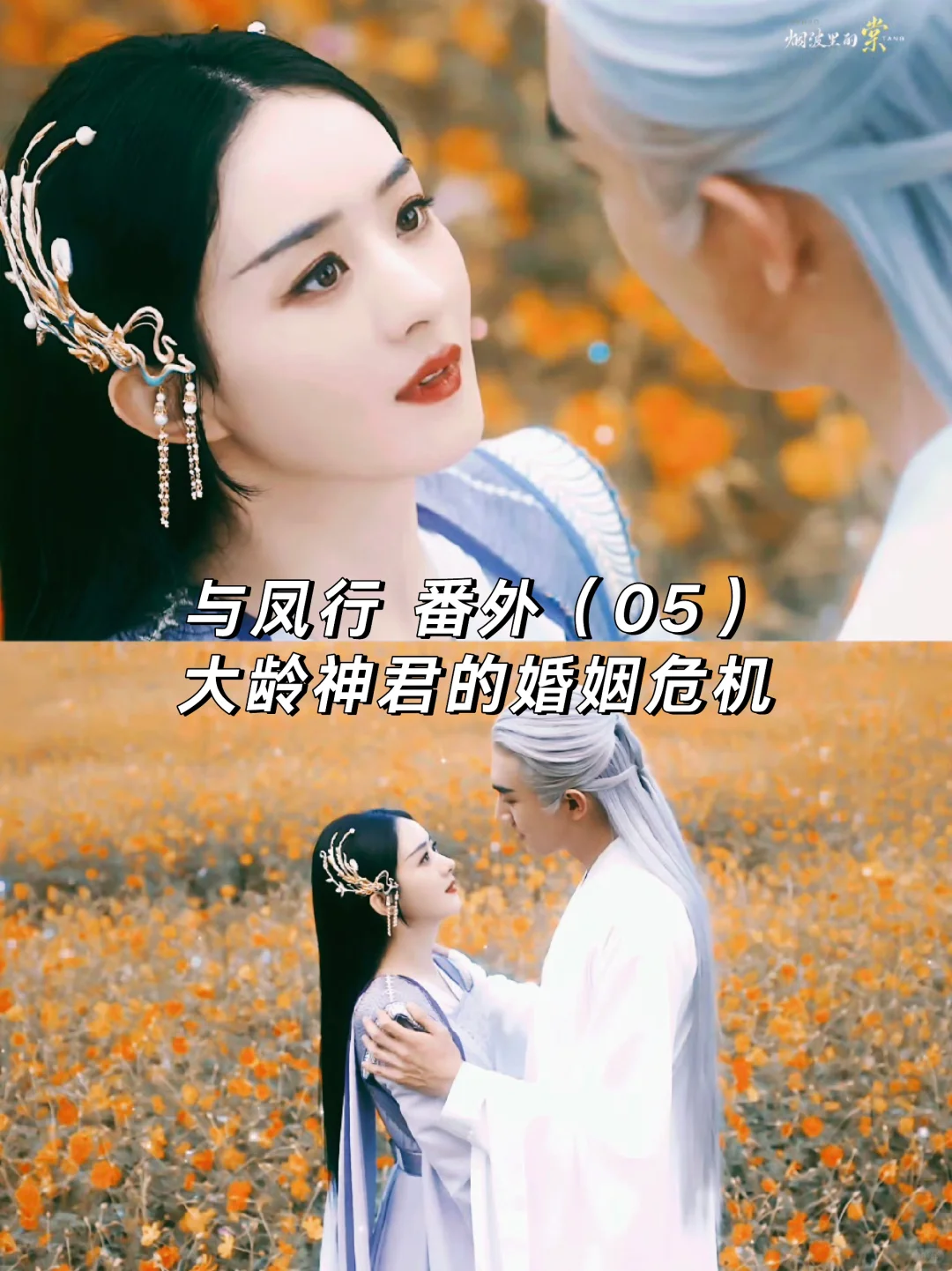 与凤行｜大结局番外：大龄神君的婚姻危机？
