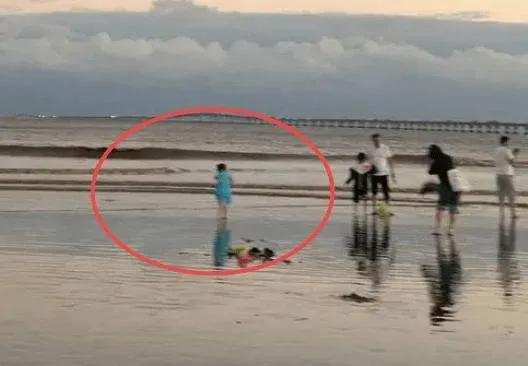 没有奇迹，愿天堂没有痛苦！海边失踪女童遗体被找到！
据上海市公安局浦东分局官方微