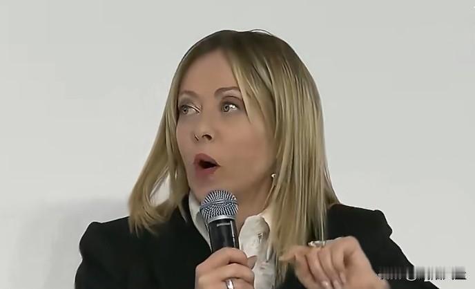 意大利总理梅洛尼在埃里温欧共体峰会上表示，当今的危机不是孤立的，而是一场相互关联