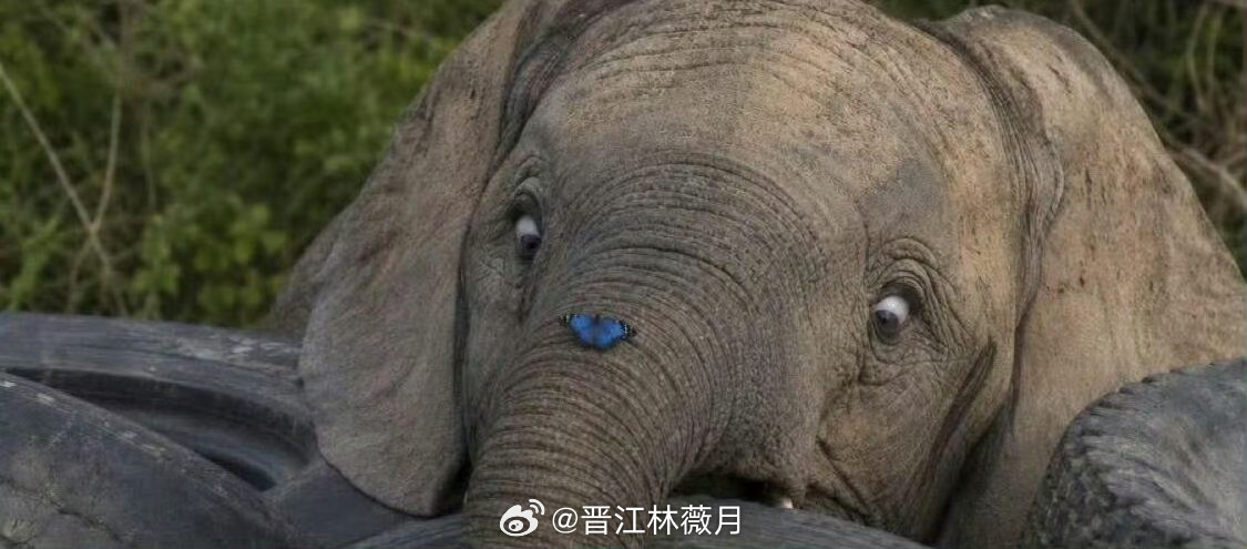 今天中午的我…… 