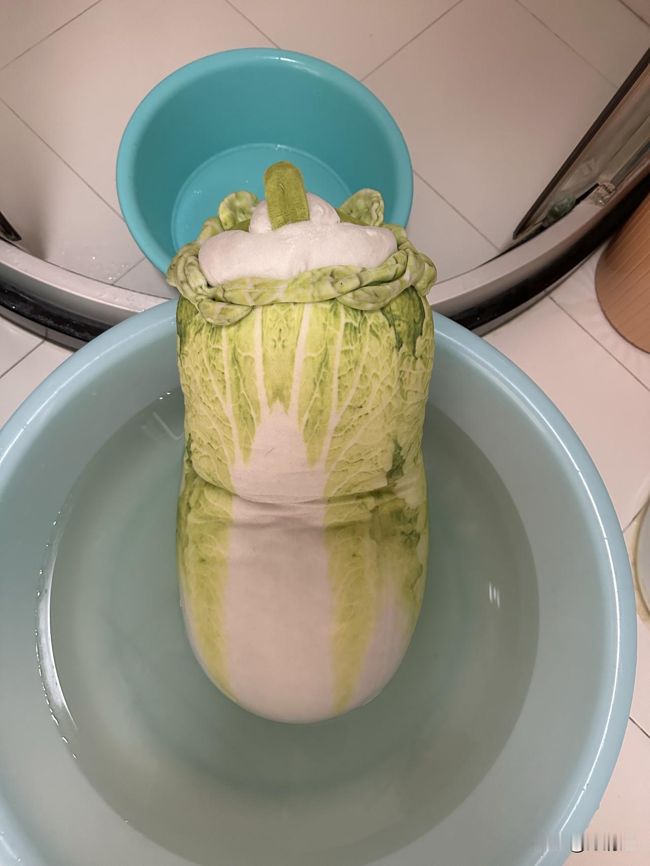 外孙子问姥姥这个白菜🥬狗（海绵的）为什么放在水里那么重呢？姥姥说：吃了饭喝了水