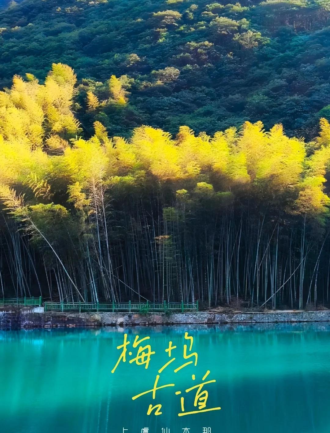 上海组队｜10.4梅坞古道，绿宝石上虞仙本那
在绍兴有一条人少景美的古道
满眼的